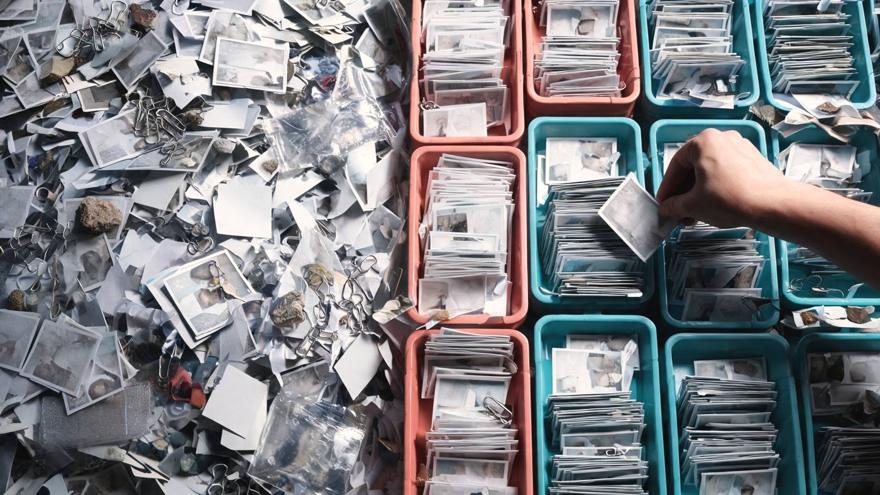 Overhead shot of a hand sorting a mountain of paper into filing trays